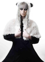 Fall 2013